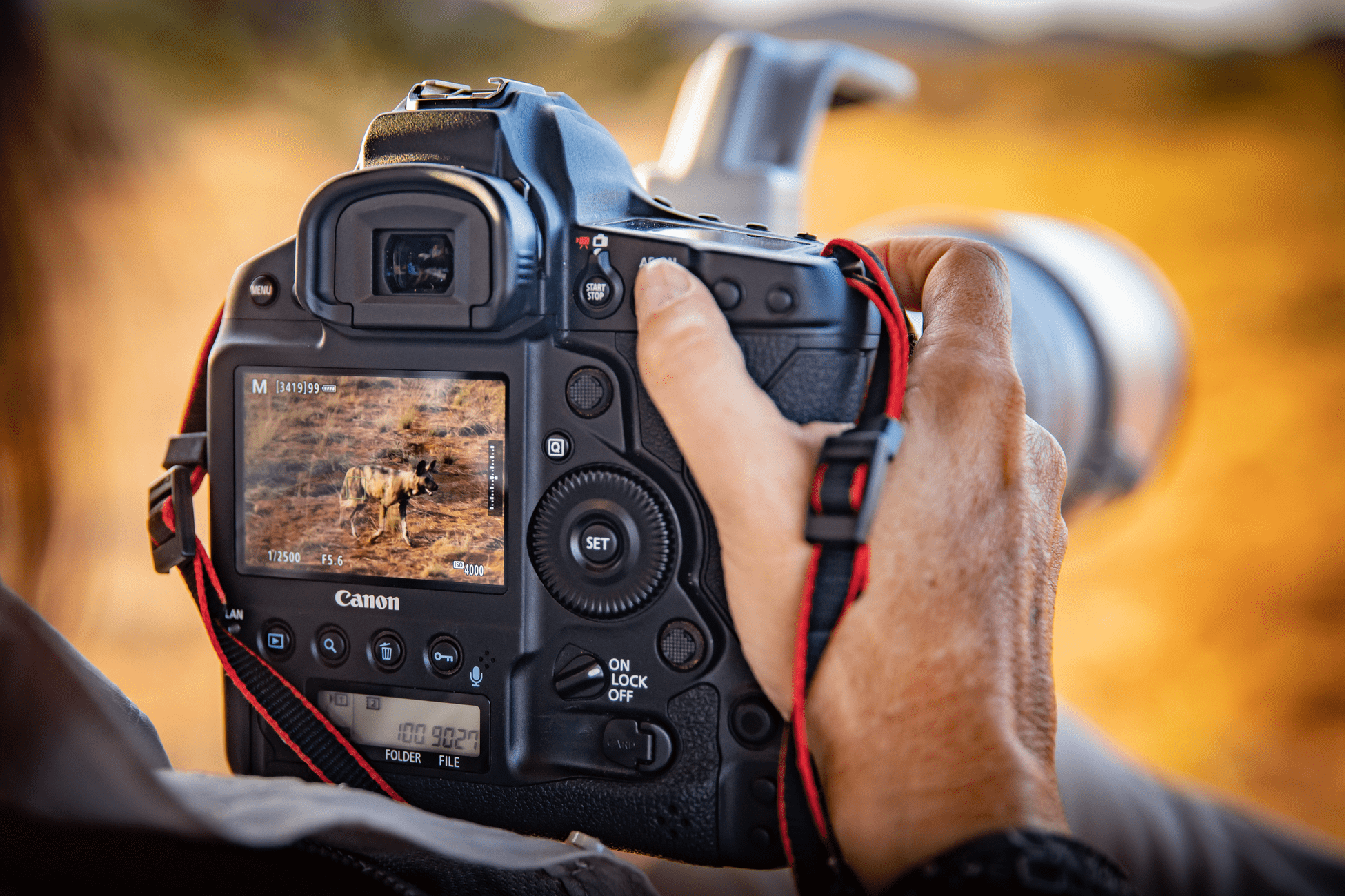 Canon EOS-1D X Mark III